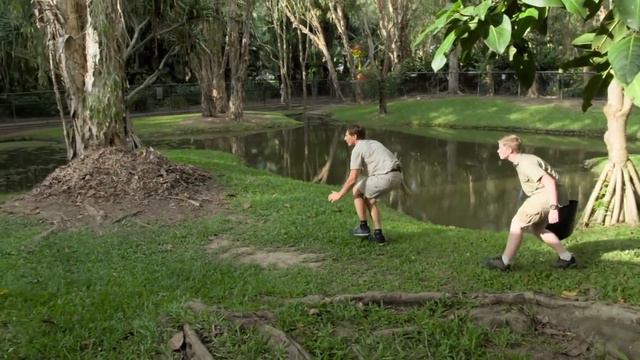 Relembrando o legado de Steve Irwin | A Família Irwin | Animal Planet Brasil смотреть онлайн