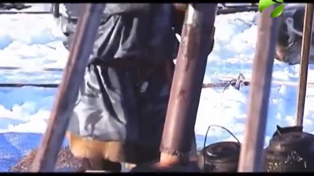 Сбор чума смотреть онлайн