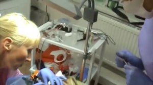 Татуаж губ с растушевкой. Перманентный макияж губ акварельной техникой