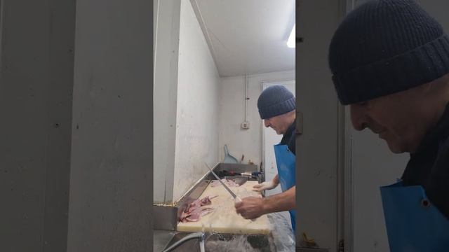 filleting flathead by George смотреть онлайн