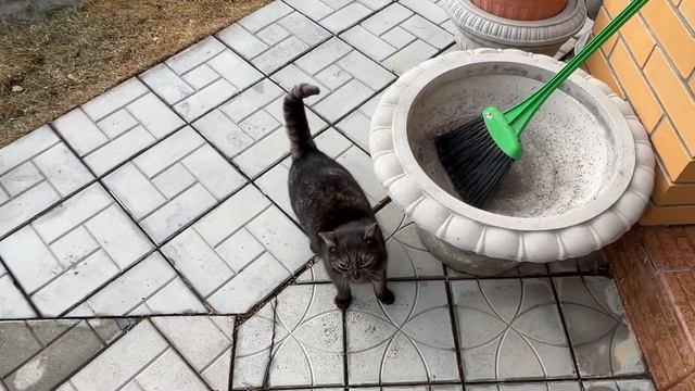 Уход за волосами.Это работает.О моем пхоудении.Примерки. смотреть онлайн