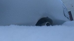 3uz-fe звук выхлопа