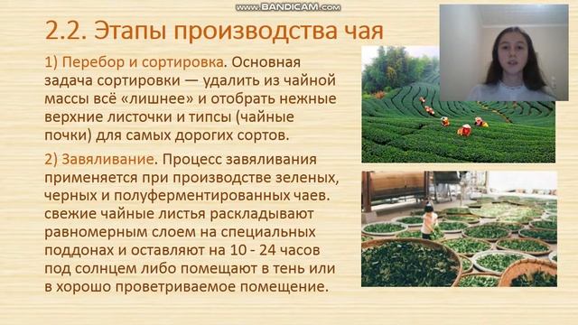 Аблякимова Камелия Исследование химического состава и показателей зелёного и чёрного чая смотреть онлайн