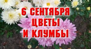 6 сентября. Как у меня получаются клумбы и обзор цветов.mp4