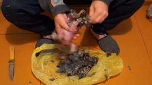 Как правильно ощипать и разделать добытую птицу.