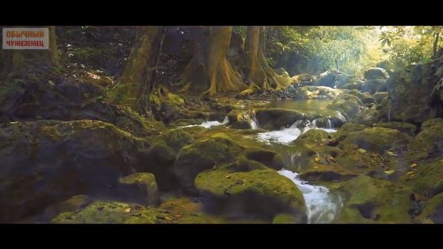 Молитва покаяния Ислам | Тауба намаз | Дуа о прощении грехов | Хадис о покаянии смотреть онлайн