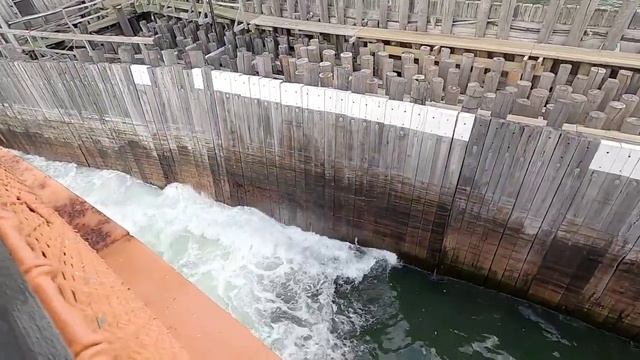 Бесплатная еда в США. Статуя свободы. Протест (часть 4)