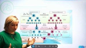 Образование Половых Клеток | ГАМЕТОГЕНЕЗ | Подготовка к ЕГЭ 2022 по БИОЛОГИИ