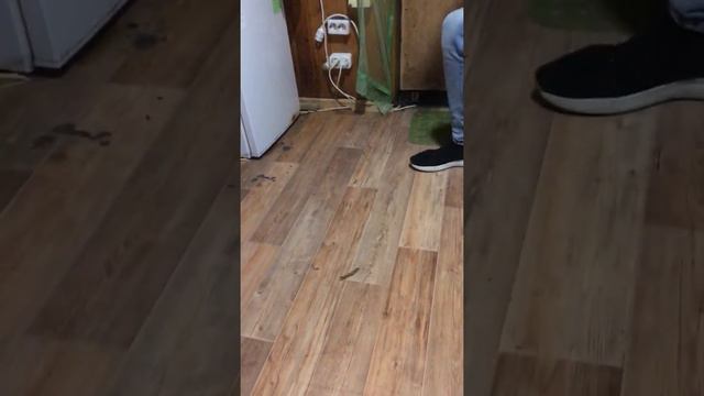 на нас напала СКОЛОПЕНДРА / чуть не получил разрыв сердца смотреть онлайн