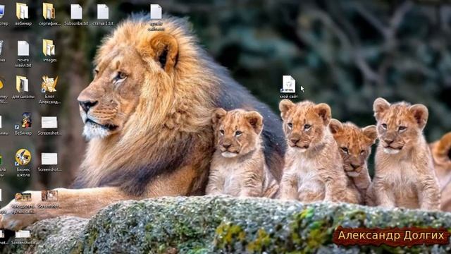 Как сделать ярлык сайта на рабочем столе смотреть онлайн