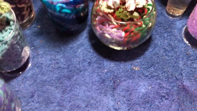 Updates!!! Rex Propagation, Yarn Garden, Alocasia and a New Begonia!!! смотреть онлайн