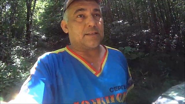 Где волки ....боятся))) смотреть онлайн