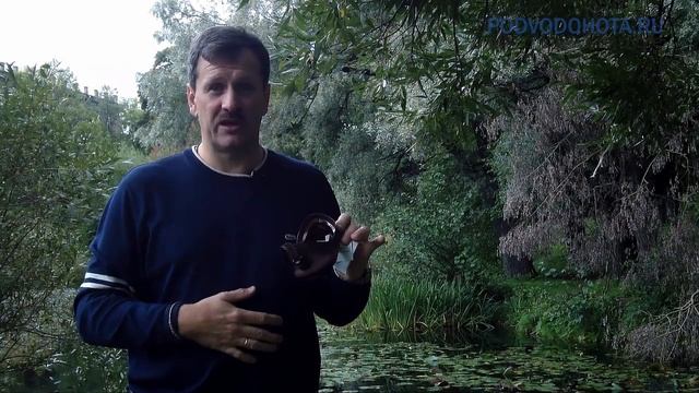Как быстро проверить маску для подводной охоты на герметичность в магазине смотреть онлайн