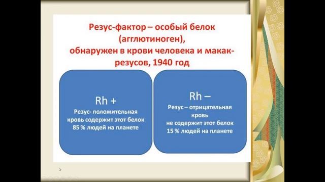 Биология. Раздел анатомия человека. Группы крови. Резус-фактор. Людмила Ивановна. Profi-Teacher.ru смотреть онлайн