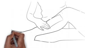 Что нельзя делать во время месячных? (анимация)