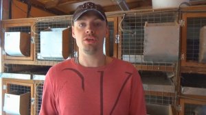 Белый паннон. Впечатления о породе. ЕвроФерма