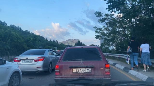НАШЛИ ТРУП ДЕЛЬФИНА В КРЫМУ смотреть онлайн