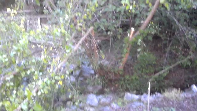 Outside The Box - Willow Tree Trellis