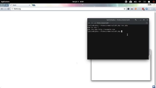 Reserver Domain Lookup PHP [CLI] смотреть онлайн