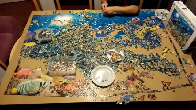 Ravensburger puzzle 5000 - Leben im Korallenriff ( Time lapse ) смотреть онлайн