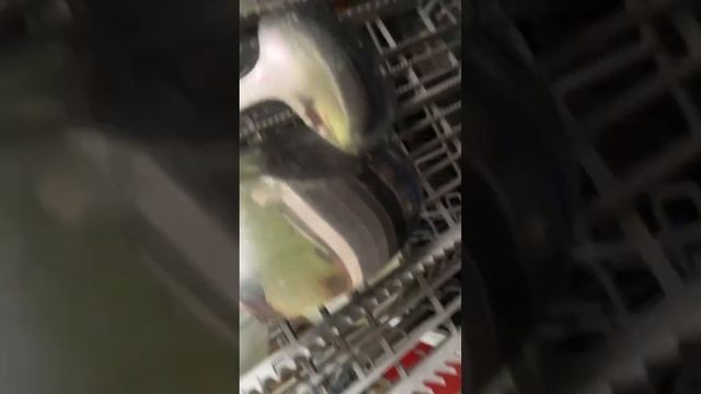 Посудомоечная машина Hansa ZWM656WEH. Как чистить и мыть посудомойку. смотреть онлайн