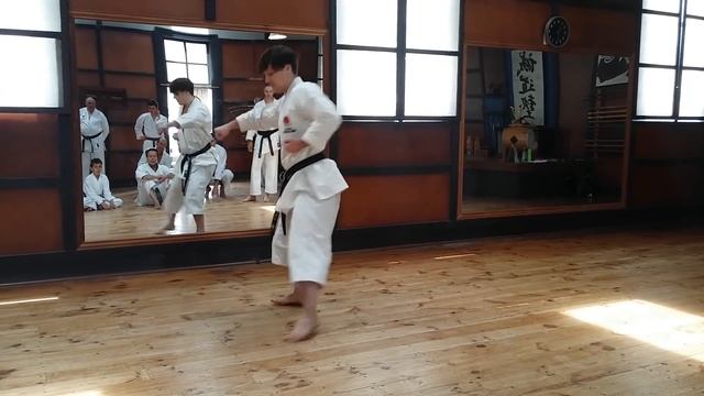 Andre Bertel Karate COMPLETE Seminar NZ