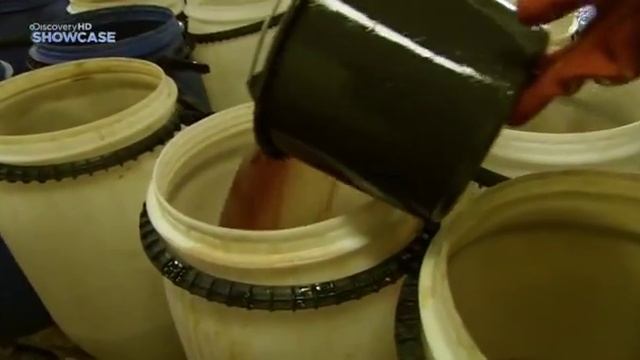 Из чего это сделано Cюрстрёмминг смотреть онлайн