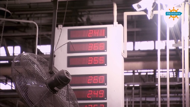 15. смотреть онлайн