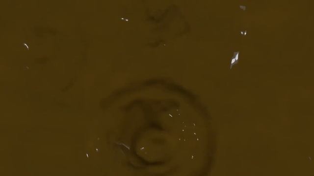 Boiling blender chocolate смотреть онлайн
