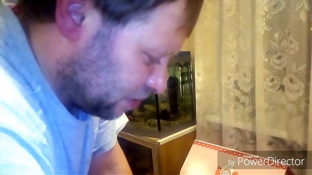 Как появляются на свет мальки . Забираем мальков у Labidochromis caeruleus . смотреть онлайн