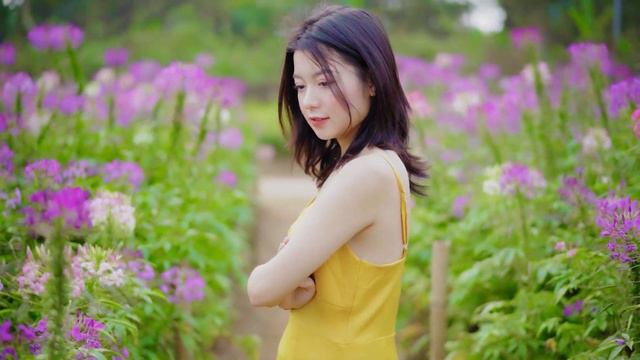 Can't Help Falling In Love Saxophone Mp3 Download 🎷Swing saxophone music 499 смотреть онлайн