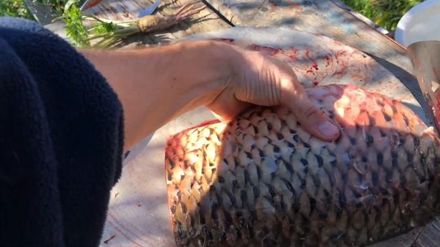 Разделка большого карпа сербским ножом | Удобная тяпка для мяса смотреть онлайн