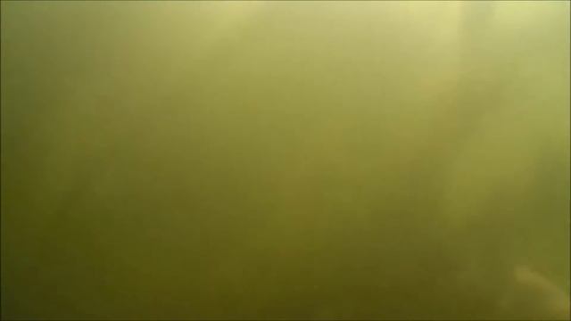 Нырок 4 Коряги смотреть онлайн