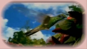 Повторяй эти магические слова каждый день