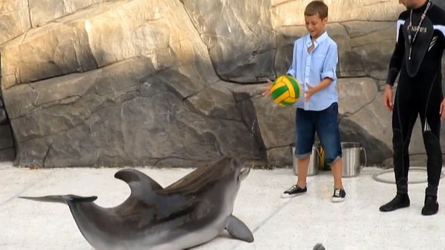 Батумский дельфинарий.Batumi delphinarium. смотреть онлайн