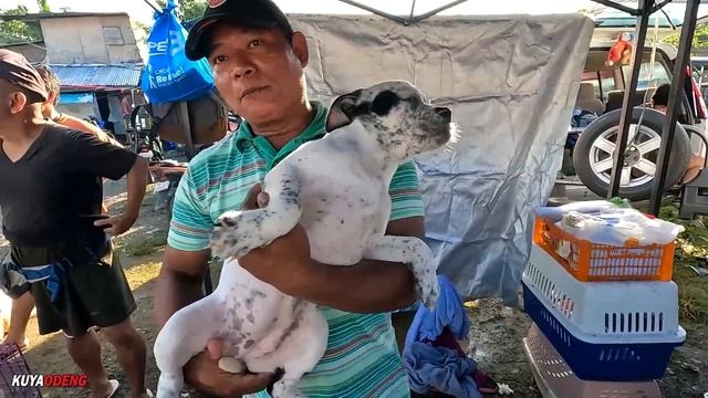 MGA KAGANAPAN SA BOCAUE NOVEMBER 03, 2023 смотреть онлайн