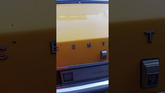 Солнечная Тойота центури. 24.04.2023. Иркутск. смотреть онлайн