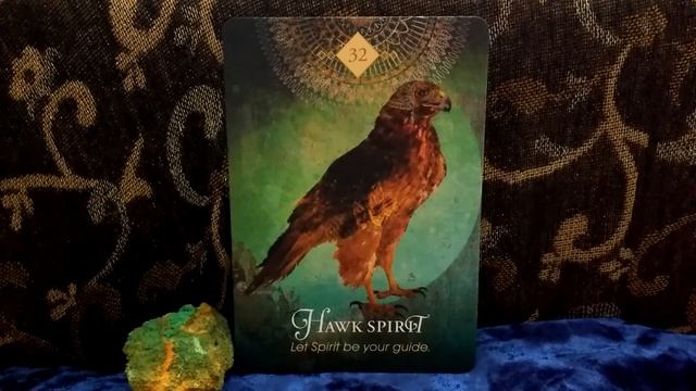 Daily Card reading spirit animal oracle Hawk Tarot All signs смотреть онлайн