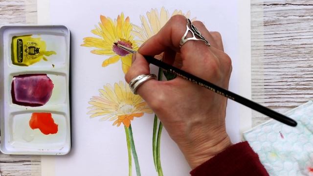 GERBERA DAISIES BOTANICAL PAINTING TUTORIAL