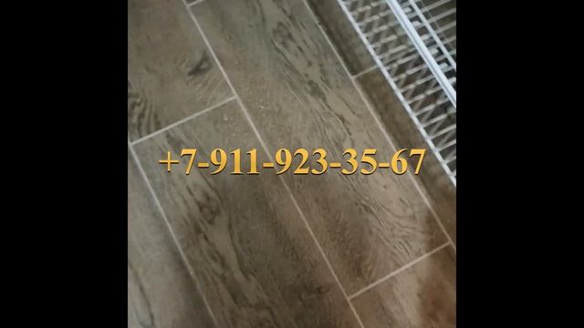 Гардеробные системы в Санкт-Петербурге смотреть онлайн
