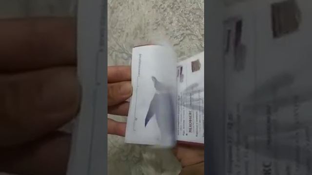 Жизнь императорского пингвина за 12 секунд флипбук смотреть онлайн