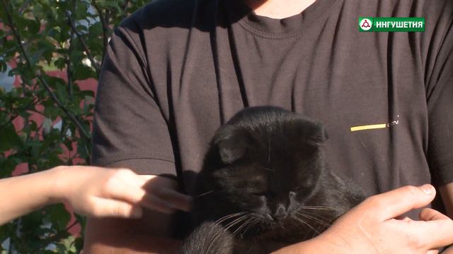 31082020 СЕГОДНЯ И ЗАВТРА 9 ВЫПУСК АУШЕВА смотреть онлайн