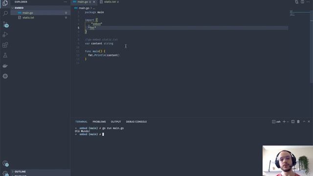 Go Embed: adicionando arquivos estáticos dentro de programas Go смотреть онлайн