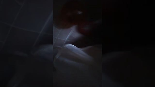 Джесси катается в прогулочнам шаре для хомека смотреть онлайн