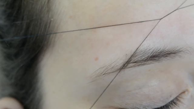 Курс бровиста в Караганде смотреть онлайн