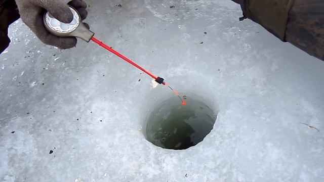 Весна Рыбалка 2020/ Клев Карася/ Плотвы/ Щуки/ Окуня! смотреть онлайн