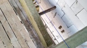 Установка стропильной системы. Вынос крыши.#Мансардная #крыша