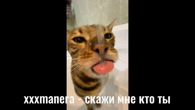 рандом кайф реп песни || песни из тиктока ч.2 смотреть онлайн