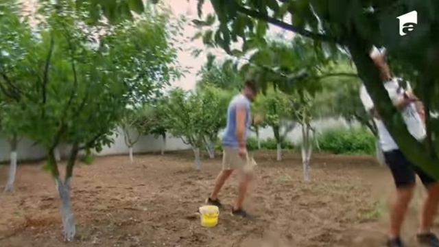 Poftiți La Circ | Bătaie Ca-n Filme între Liviu și Andrei Cu Nea Mărin