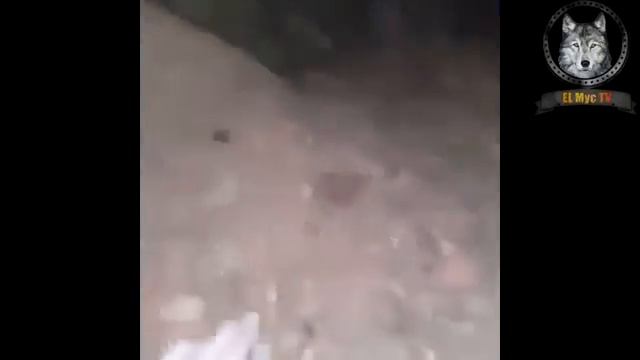 с.бачи-юрт Чеченец наткнулся на пещерные дома с арками смотреть онлайн